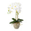 Kunstpflanze Phalenopsis (Orchidee), Farbe weiß, mit Keramiktopf, Höhe ca. 55 cm