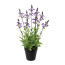 Kunstpflanze Salvie, Farbe lavendel, inkl. Topf, Höhe ca. 44 cm