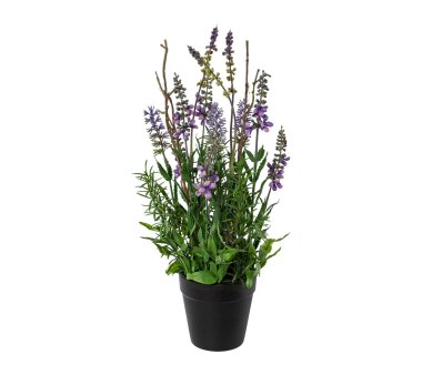 Kunstpflanze Lavendel, 2er Set, Farbe lila, inkl. Topf,...