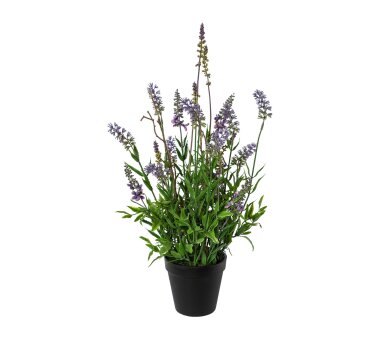 Kunstpflanze Lavendel, Farbe lila, inkl. Topf, Höhe...