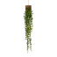 Kunstpflanze Mühlenbeckiaranke auf Holz, Farbe grün, Höhe ca. 123 cm