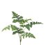 Kunstpflanze Blaufarn, Farbe grün, Höhe ca. 68 cm