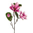 Kunstblume Magnolie, 2er Set, Farbe pink, Höhe ca. 68 cm