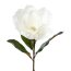 Kunstblume Magnolie Gigant, 2er Set, Farbe weiß, Höhe ca. 68 cm