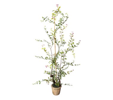 Kunstpflanze Lonicera Japonica (Geißblatt), Farbe...