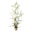 Kunstpflanze Lonicera Japonica (Geißblatt), Farbe grün, inkl. Zementtopf, Höhe ca. 125 cm