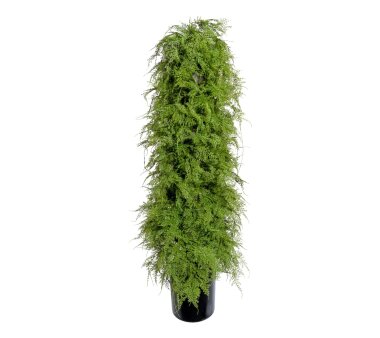 Kunstpflanze Asparagus Pyramidalis, Farbe grün,...