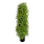 Kunstpflanze Asparagus Pyramidalis, Farbe grün, inkl. Kunststofftopf, Höhe ca. 120 cm