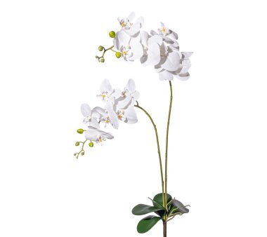 Kunstblume Phalaenopsis (Orchidee), Farbe weiß,...