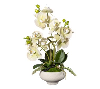 Kunstpflanze Phalenopsis (Orchidee), Farbe grün,...