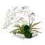 Kunstpflanze Phalenopsis (Orchidee), Farbe weiß, inkl. Schale, Höhe ca. 40 cm