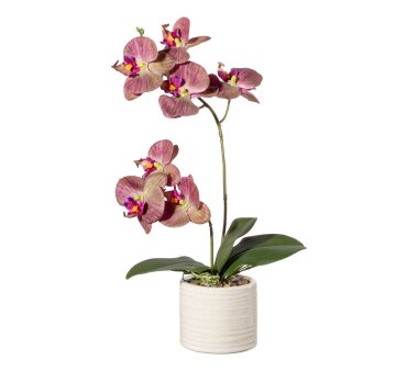 Kunstpflanze Phalenopsis (Orchidee), Farbe...