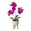 Kunstpflanze Phalenopsis (Orchidee), Farbe lila, inkl. Keramikschale, Höhe ca. 42 cm