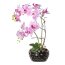 Kunstpflanze Phalaenopsisarrangement, Farbe rosa, inkl. Ovalvase, Höhe ca. 55 cm