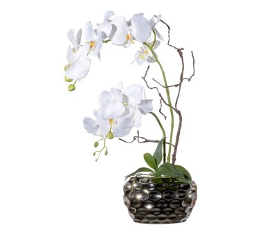 Kunstpflanze Phalaenopsisarrangement, Farbe weiß,...