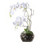 Kunstpflanze Phalaenopsisarrangement, Farbe weiß, inkl. Ovalvase, Höhe ca. 55 cm