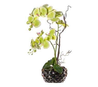 Kunstpflanze Phalaenopsisarrangement, Farbe grün,...