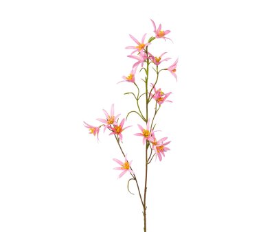 Kunstblume Eucomis, 3er Set, Farbe rosa, Höhe ca. 76 cm