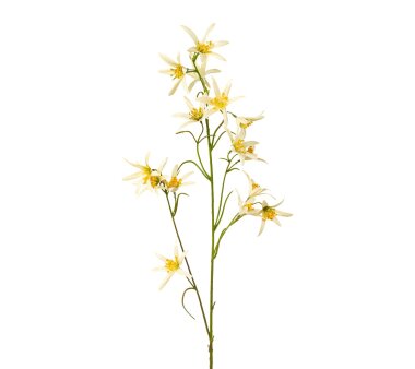 Kunstblume Eucomis, 3er Set, Farbe gelb, Höhe ca. 76 cm