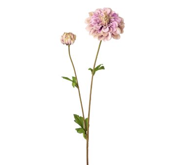Kunstblume Dahlie, 7er Set, Farbe lila, Höhe ca. 63 cm