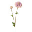 Kunstblume Dahlie, 7er Set, Farbe lila, Höhe ca. 63 cm