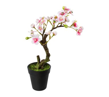 Kunstpflanze Mandelbonsai, 2er Set, Farbe rosa, inkl....