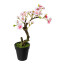 Kunstpflanze Mandelbonsai, 2er Set, Farbe rosa, inkl. Topf, Höhe ca. 26 cm