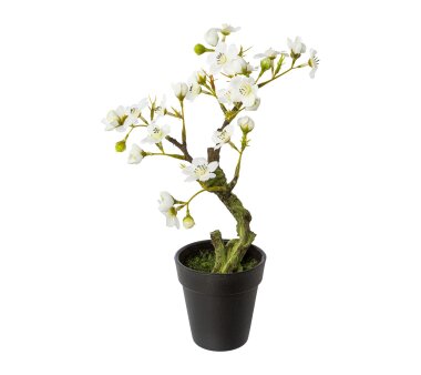 Kunstpflanze Mandelbonsai, 2er Set, Farbe weiß,...