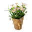 Kunstpflanze Margerittenmix, 4er Set, Farbe rosa, inkl. Packpapiertopf, Höhe ca. 21 cm