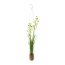 Kunstpflanze Maiglöckchen, 2er Set, Farbe weiß, inkl. Hängevase