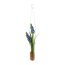 Kunstpflanze Muscari, 2er Set, Farbe blau, inkl. Hängevase