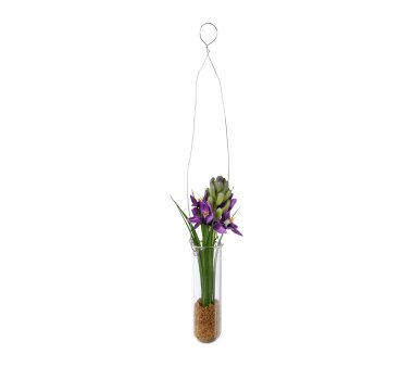 Kunstpflanze Hyacinthe, 2er Set, Farbe lila, inkl....