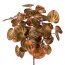 Kunstpflanze Pileabusch, 3er Set, Farbe grün-rose, Höhe ca. 30 cm