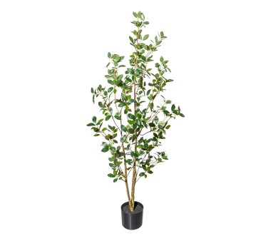Kunstpflanze Ficus Ginseng mit PU-Stamm, Farbe grün,...