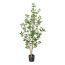 Kunstpflanze Ficus Ginseng mit PU-Stamm, Farbe grün, inkl. Kunststofftopf, Höhe ca. 130 cm