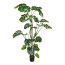 Kunstpflanze Splitphilodendron, Farbe grün, inkl. Kunststoff-Topf, Höhe ca. 180 cm