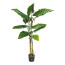 Kunstpflanze Colocasia mit PU-Stamm, Farbe grün, inkl. Kunststoff-Topf, Höhe ca. 140 cm