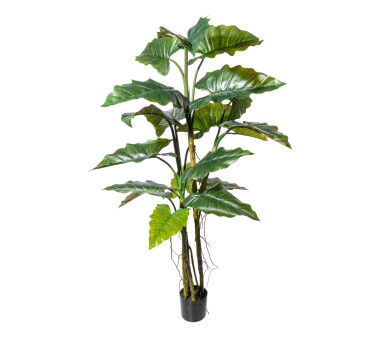 Kunstpflanze Colocasia mit PU-Stamm, Farbe grün,...