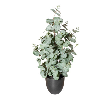Kunstpflanze Eukalypthus, Farbe grün-grau, inkl....