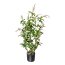 Kunstpflanze Jap.Lavendelheide, Farbe grün, inkl. Kunststoff-Topf, Höhe ca. 85 cm