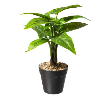 Kunstpflanze Alocasia Zebrina, 2er Set, Farbe grün,...
