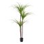 Kunstpflanze Drachenbaum, Farbe grün, inkl. Kunststofftopf, Höhe ca. 180 cm