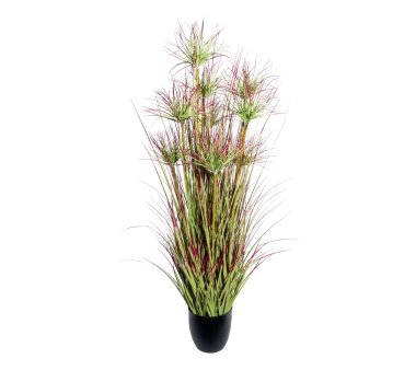 Kunstpflanze Pampasgras, Farbe schwarz, inkl. Topf, Höhe ca. 125 cm online  kaufen