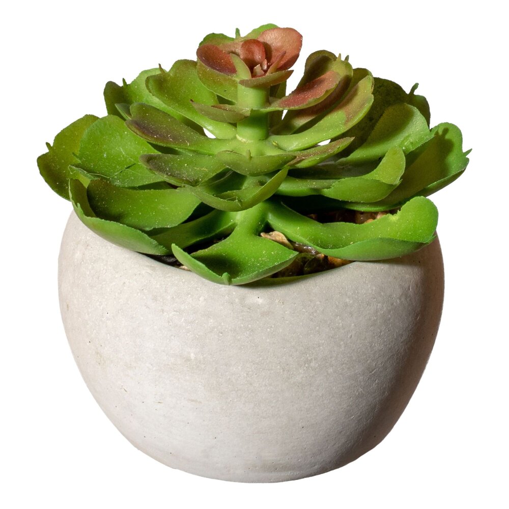 Kunstpflanze 3-fach Set, in grün Sukkulenten, kaufen Farbe: sortiert 6er