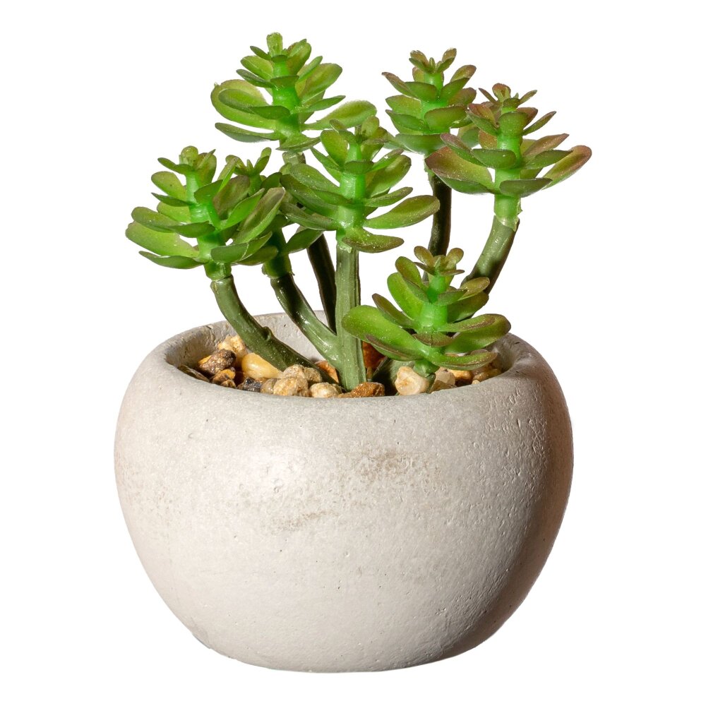  Set mit 6 Kunstpflanze Kaktus grün im Blumentopf, kleine Steine  füllen Mini dekorative künstliche Sukkulenten im Topf Kunstblumen für Home  Office Raumdekoration