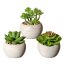 Kunstpflanze Sukkulenten, 6er Set, 3-fach sortiert, Farbe grün, inkl. Zementtopf, Höhe ca. 6-8 cm
