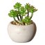 Kunstpflanze Sukkulenten, 6er Set, 3-fach sortiert, Farbe grün, inkl. Zementtopf, Höhe ca. 6-8 cm