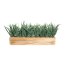 Kunstpflanze Gras im Holzkasten 52x10x9 cm, Farbe grün, Höhe ca. 23 cm