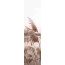 4er-Set Schiebegardinen MANJA blickdicht / halbtransparent, Höhe 245 cm, natur