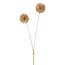 Kunstblume Allium, 5er Set, Farbe gold, Höhe ca. 55 cm